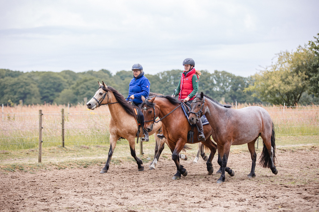 846A0145 | fotosleben - Realisiert mit Pictrs.com