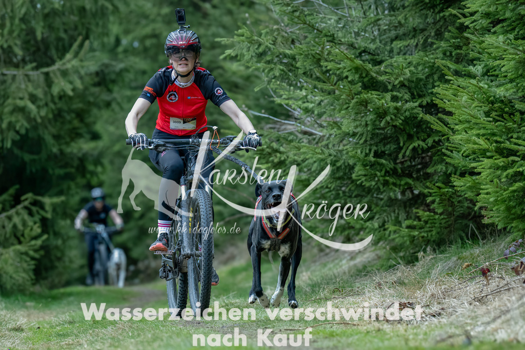 1311_ZZ93880-Bearbeitet | kk-dogfotos