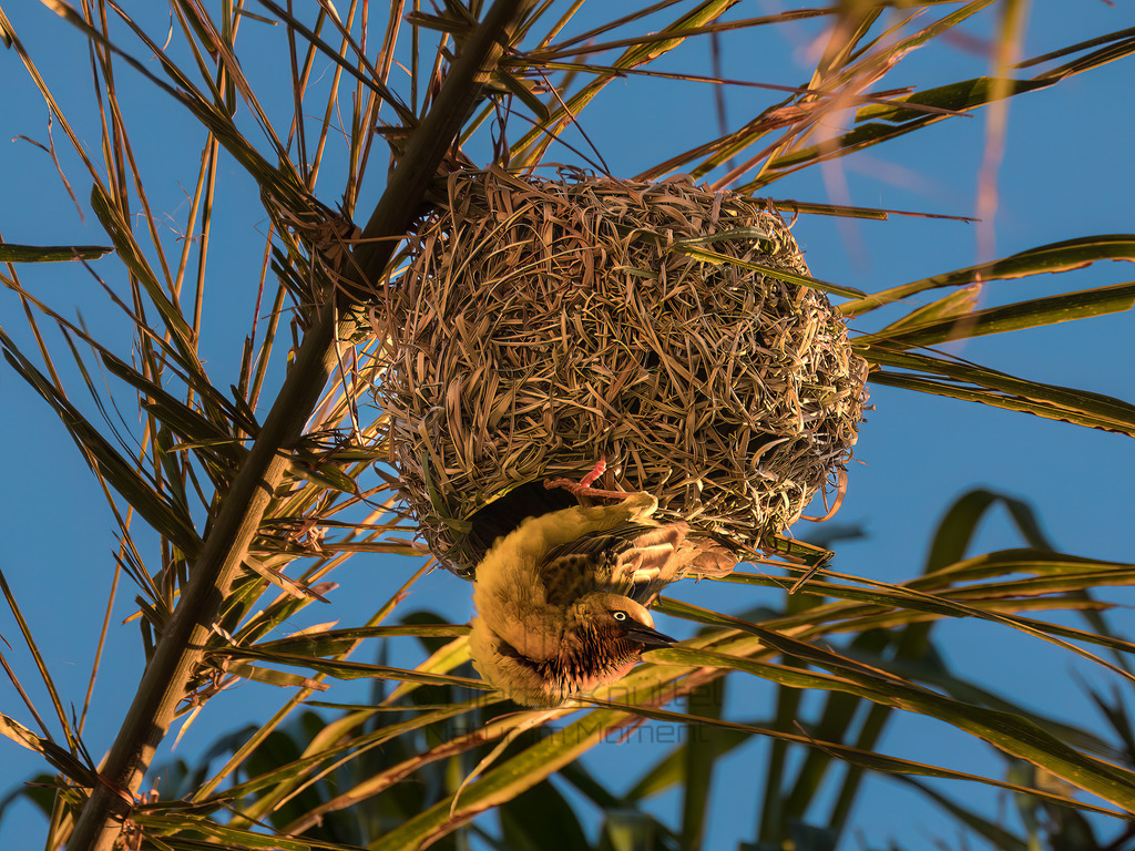 PANA2581-Bearbeitet-2017-LR | Natur im Moment - Realisiert mit Pictrs.com