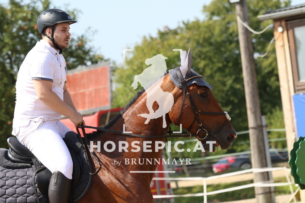 7V2A2814 | Willkommen bei Brunnmayr - Design & Fotografie – Ihrem Spezialisten für Reitturniere und Pferdeveranstaltungen in Oberösterreich, Salzburg und Bayern! Seit über 17 Jahren sind wir leidenschaftlich dabei.
