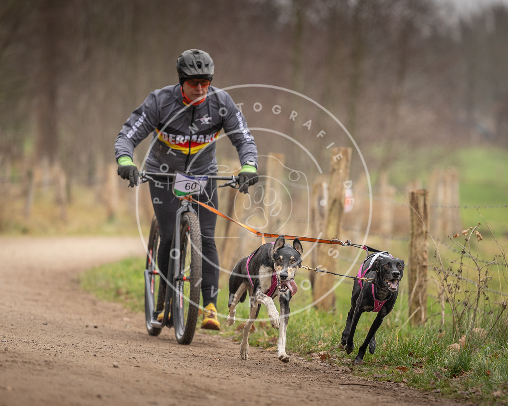 Pfotenfotografie_DV3A3225 | Hundefotografie, Tierfotograf, Pfotenfotografie, Fotoshooting Hund, Hunde Portrait, Hundesport, Hundeportraits, Heideshooting, Hunde, Sportfotograf, Hundefotograf, Turnierhundsport, THS,  - Realisiert mit Pictrs.com