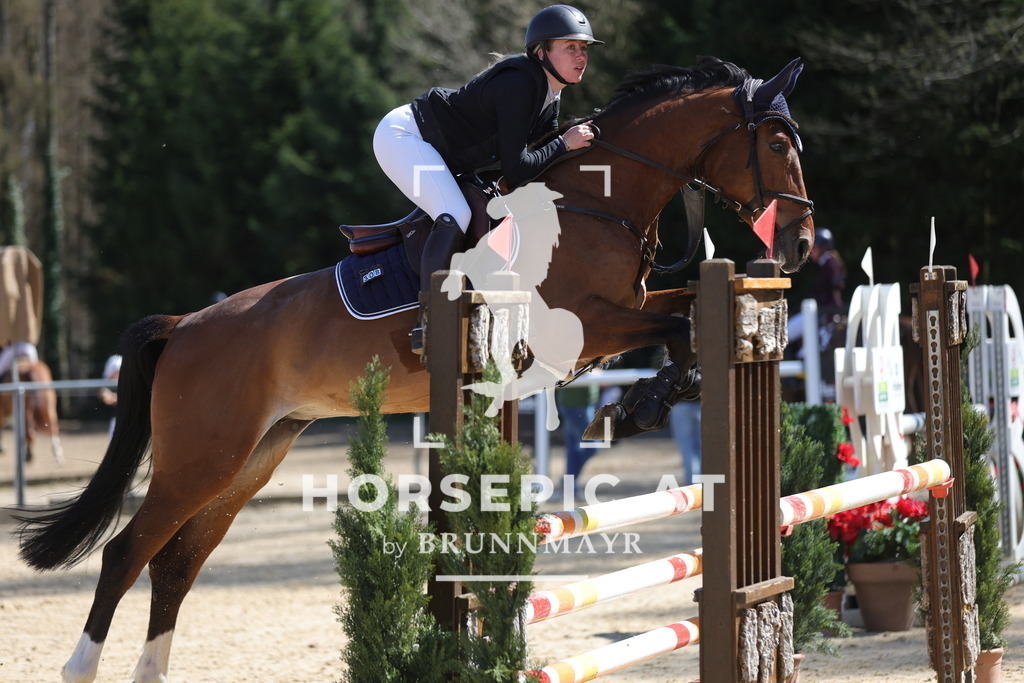 0P6A8588 | Willkommen bei Brunnmayr - Design & Fotografie – Ihrem Spezialisten für Reitturniere und Pferdeveranstaltungen in Oberösterreich, Salzburg und Bayern! Seit über 17 Jahren sind wir leidenschaftlich dabei.