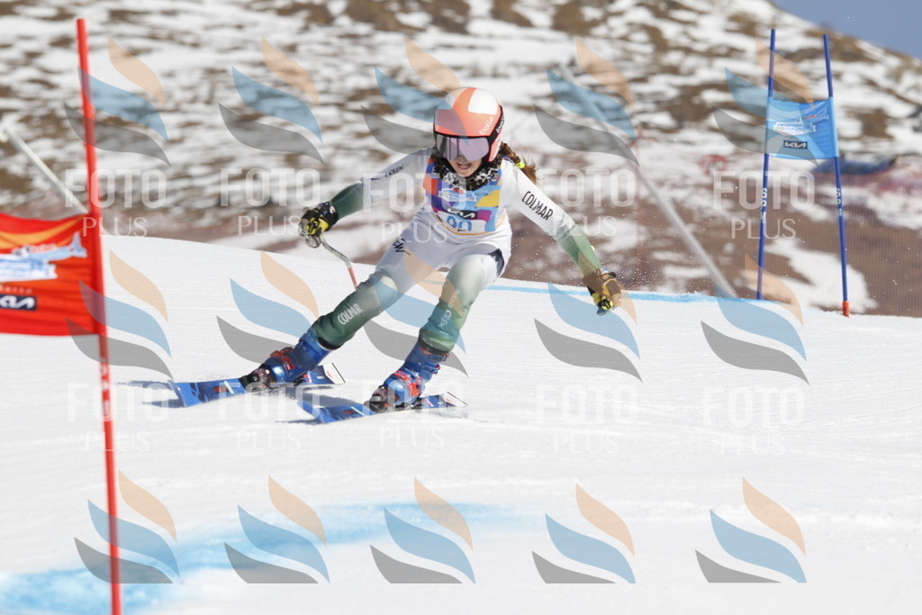 _U3G0155 | holidayphoto