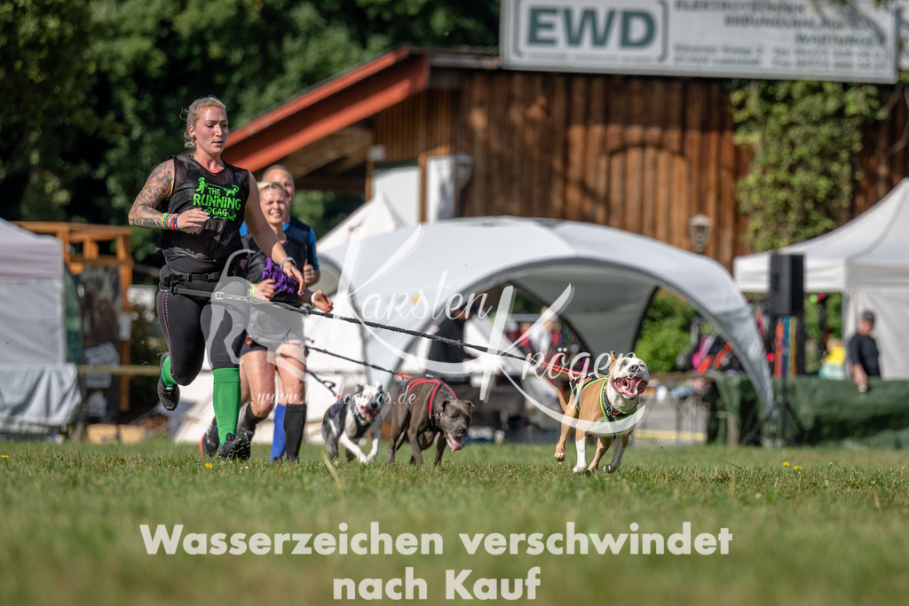 1119_ZZ94452 | kk-dogfotos