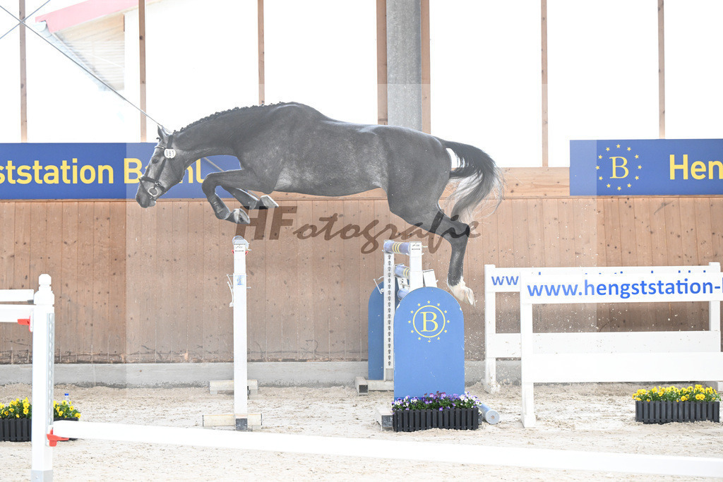 Kat-Nr. 91 Radetsky S v. El Torreo de Muze_KES Kreidl_5250427 | hf-fotografie - Realisiert mit Pictrs.com
