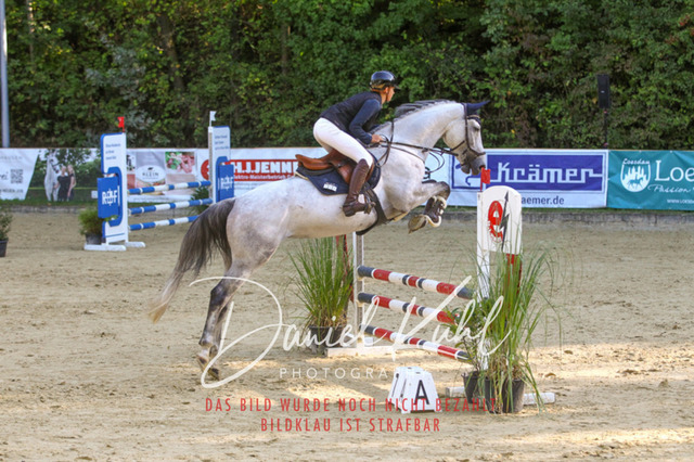 DKP42793 | Deine Turnierfotos vom Reitturnier online kaufen: Dressur, Springen & Siegerehrung. Professionelle Pferdefotografie aus dem Rheinland – als Download & Print.Alternative: Turnierfotograf für den Pferdesport: Finde deine Fotos von Dressur- und Springturnier