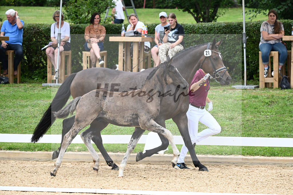 Kat-Nr. 21 HF Bowmore x Charmeur_Mueller_27230353 | hf-fotografie - Realisiert mit Pictrs.com