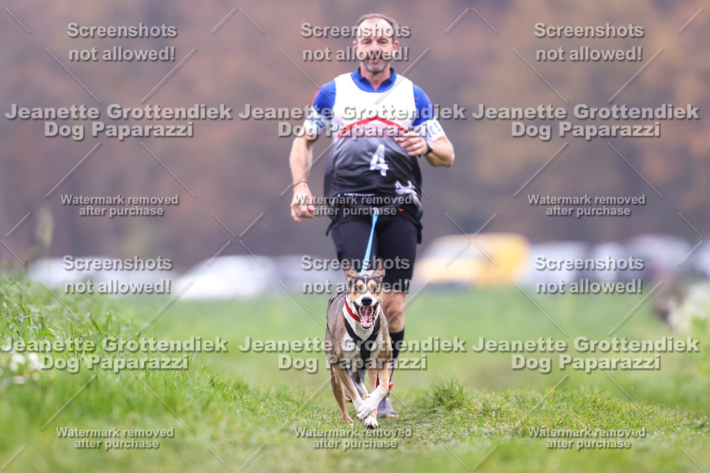 Dog Paparazzi - Visbeck 25 -800 | Dog Paparazzi Jeanette Grottendiek Fotografie & Videografie - Realisiert mit Pictrs.com