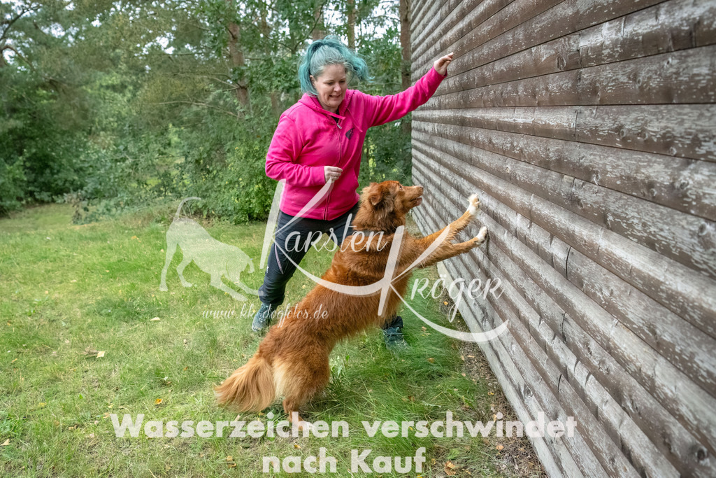 1456_ZZ93944-2-Bearbeitet | kk-dogfotos