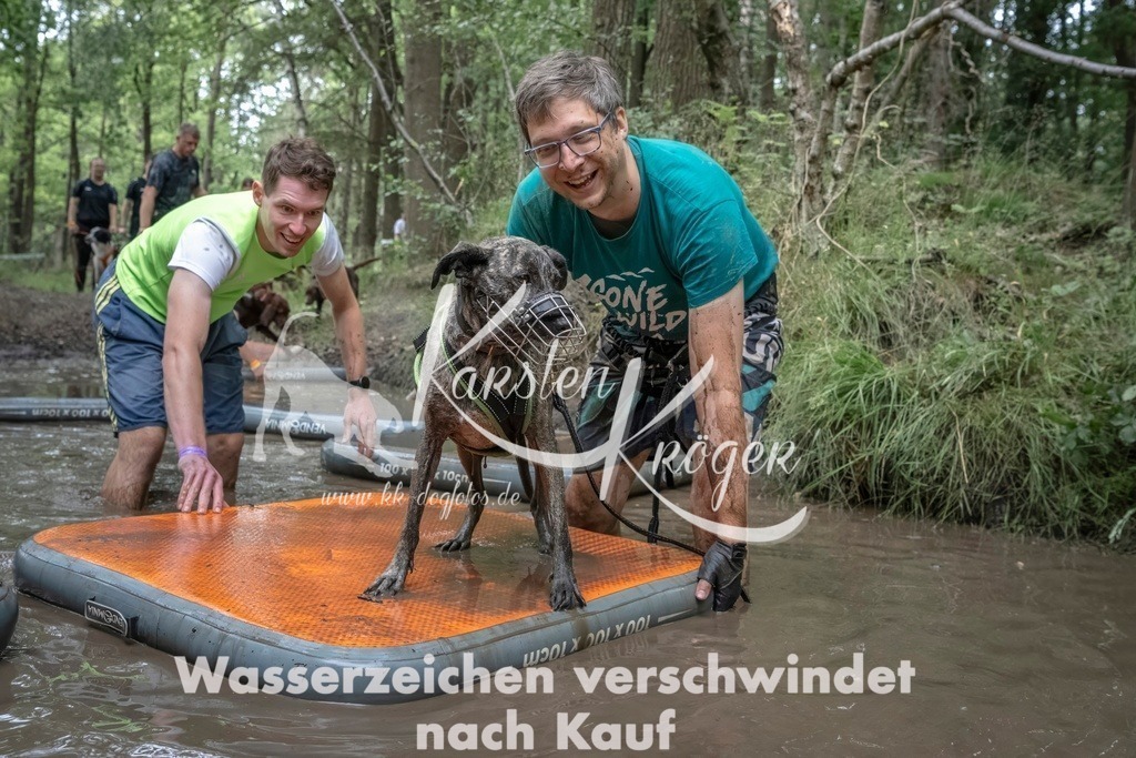 1208_ZZ97281T | kk-dogfotos