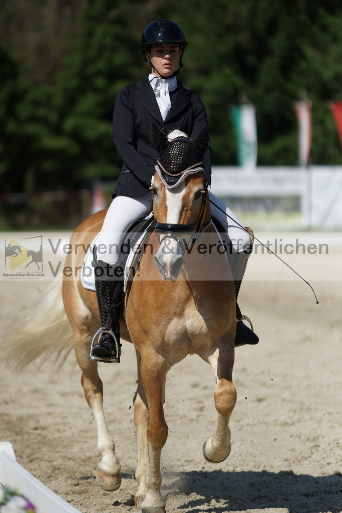 DSC03016 | equestrian-live-com