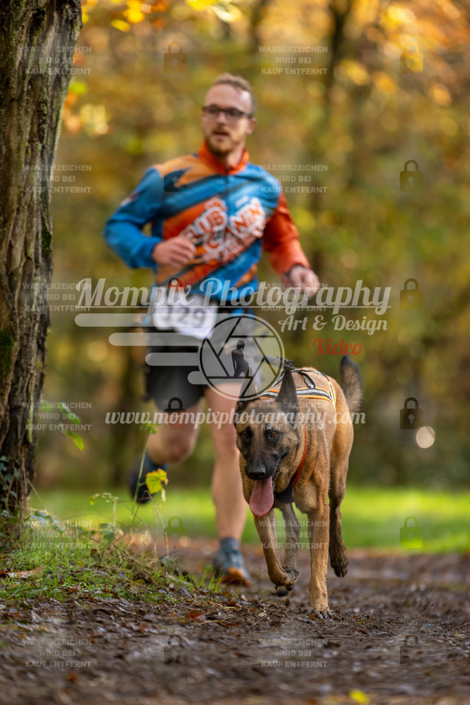 MompixPhotography_Bischwiller23_Canicross-116 | PayLife