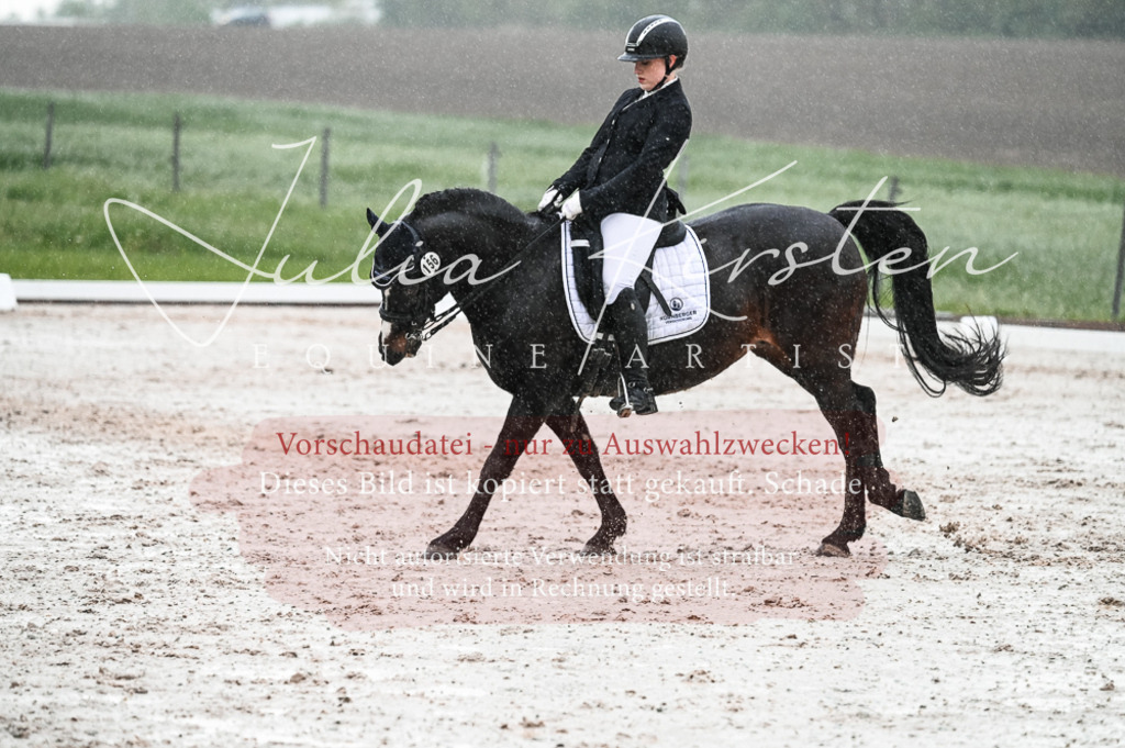DSC_4670 | Pferde- und Turnierfotografie in Westsachsen. Pferdeportraits, Auftragszeichnungen und intuitive Kunst.