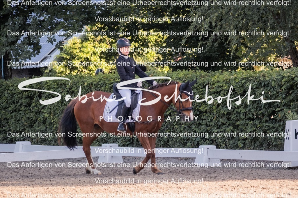 2025_05_31_DSCF2748 | People- und Tierfotografie, Imageaufnahmen, Veranstaltungsfotografie und Wandbilder aus der Natur ★ Made in Germany ✔️ Druck + Downloads ✔️ Naturfotografie in Top Qualität ★ schneller Versand, weltweite Lieferung! - Realisiert mit Pictrs.com