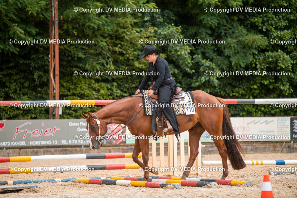 ZS2_7962 | dv-media-shop - Realisiert mit Pictrs.com