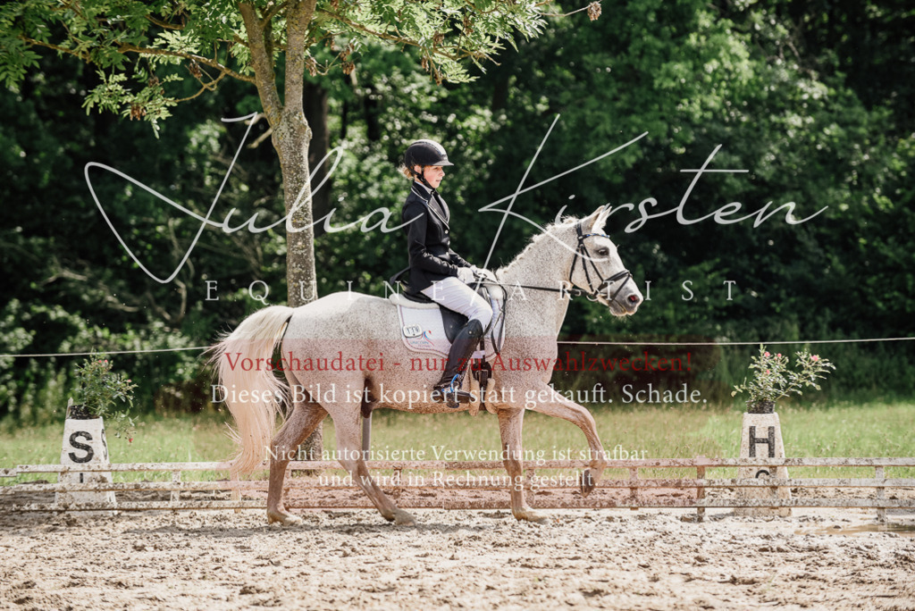 DSC_0564 | Pferde- und Turnierfotografie in Westsachsen. Pferdeportraits, Auftragszeichnungen und intuitive Kunst.