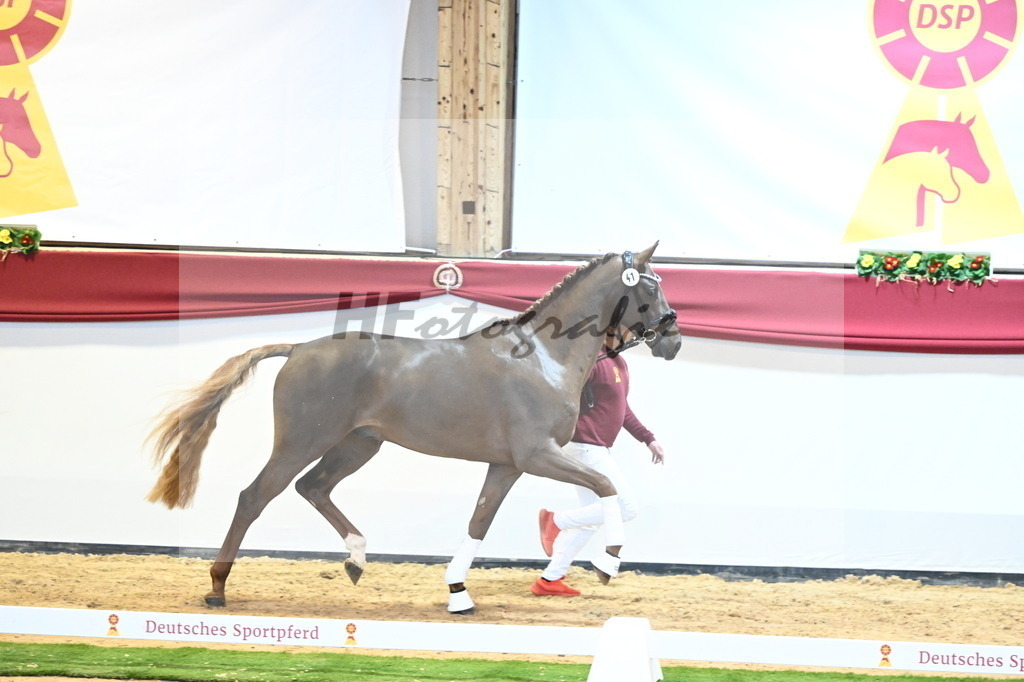 Kat.-Nr. 41 v. Donier_Beckmann_2240442 | hf-fotografie - Realisiert mit Pictrs.com