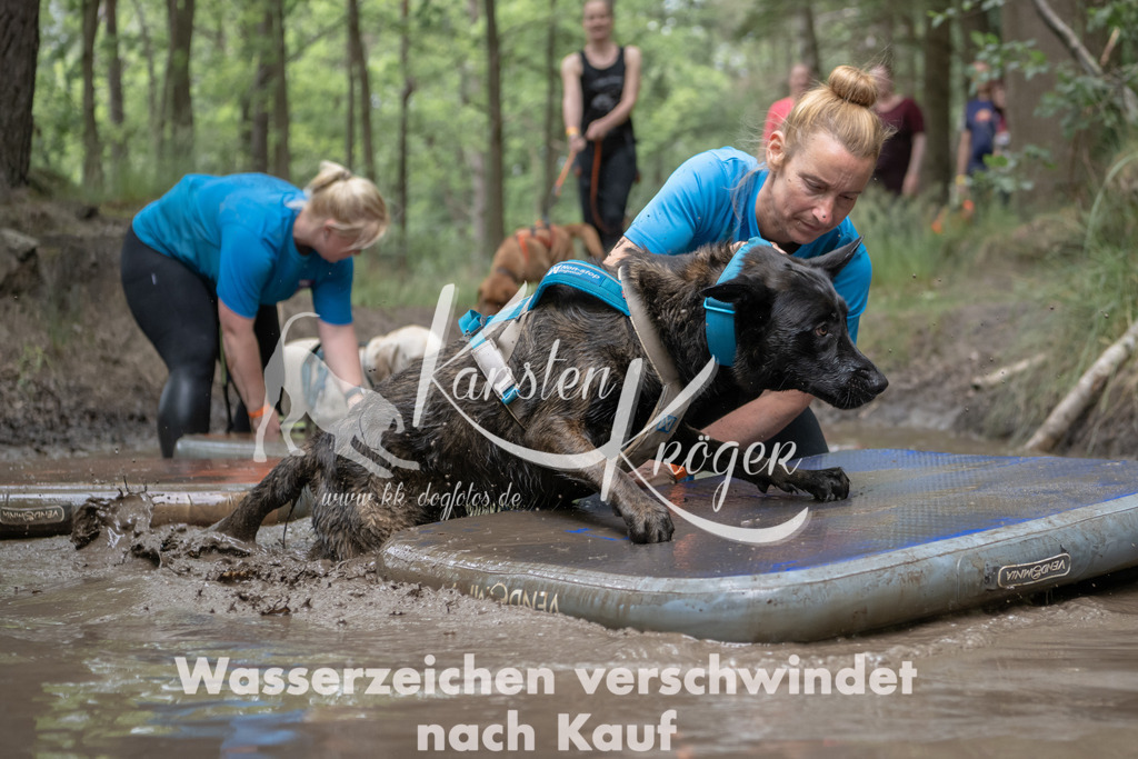 1332_ZZ94423 | kk-dogfotos