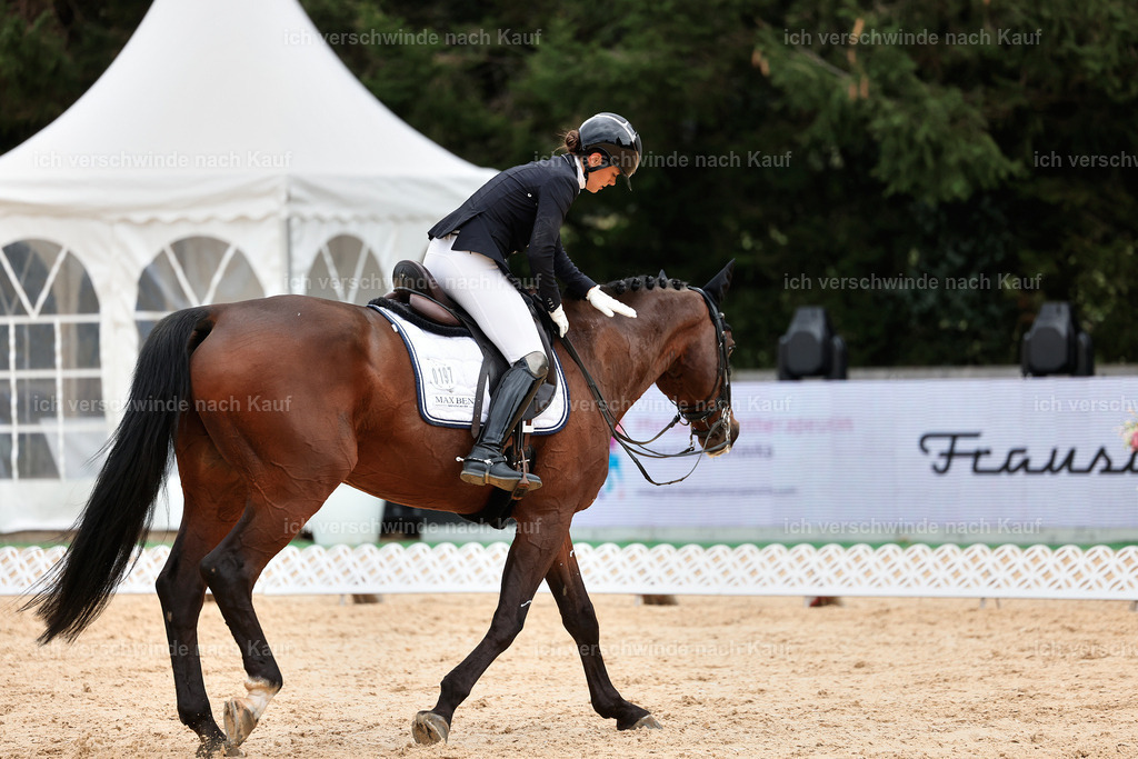 3-197-Dressur M_-StoibPH-2456 | working equitationturnier fotograf videograf stoibphotography marixx film working equitation deutschland reitsport turnierfotografie eventfotografie equestrian events