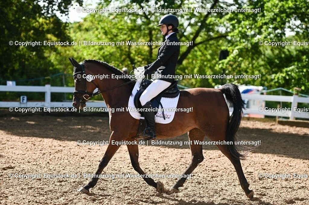 20230716_04_Dressurreiterprüfung Kl.A_0124 | equistock