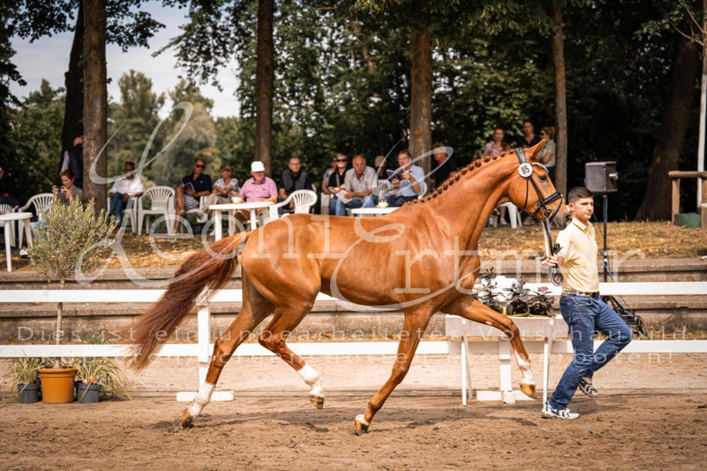 5.Fr00020 | Leoni Ertmer Photography - Realisiert mit Pictrs.com