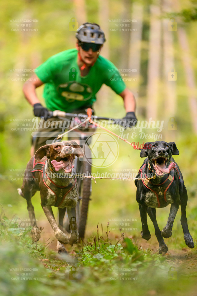 MompixPhotography_Yens2025_B2-45 | PayLife