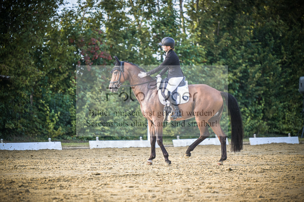 DOS_2275 | Entdecke hochwertige Reitturnierfotos von Foto Oger. Professionell, emotional und authentisch – jetzt Lieblingsmomente im Shop bestellen.Deutschlandweite Turnierfotografie. - Realisiert mit Pictrs.com