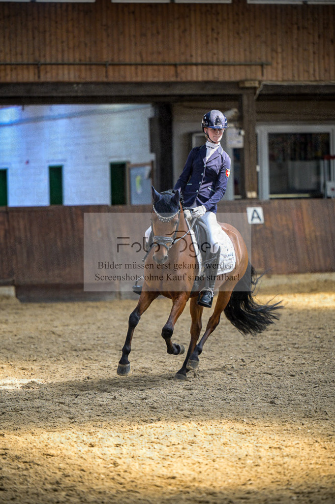 Reitturnier Voxtrup | Entdecke hochwertige Reitturnierfotos von Foto Oger. Professionell, emotional und authentisch – jetzt Lieblingsmomente im Shop bestellen.Deutschlandweite Turnierfotografie. - Realisiert mit Pictrs.com