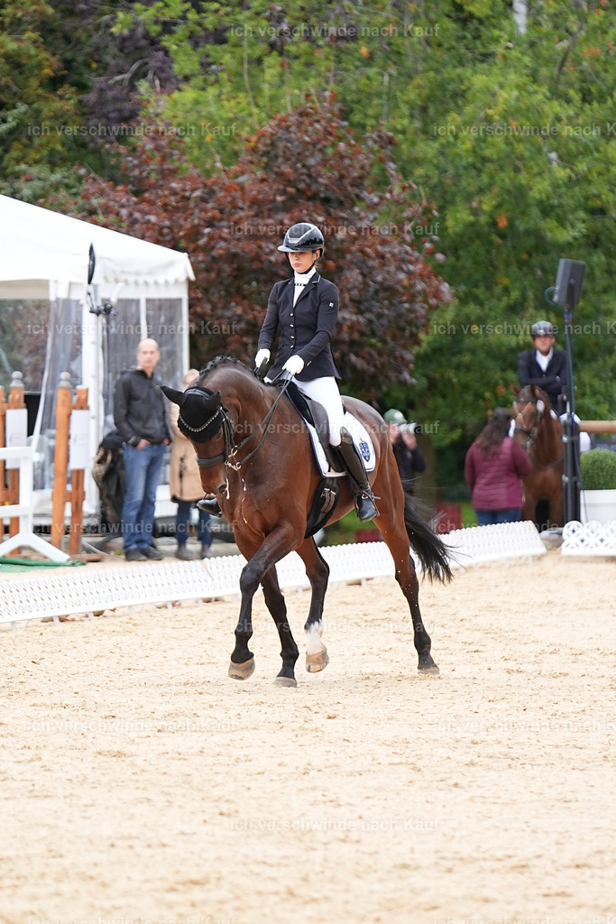 3-197-Dressur M_-Marixx-1946 | working equitationturnier fotograf videograf stoibphotography marixx film working equitation deutschland reitsport turnierfotografie eventfotografie equestrian events