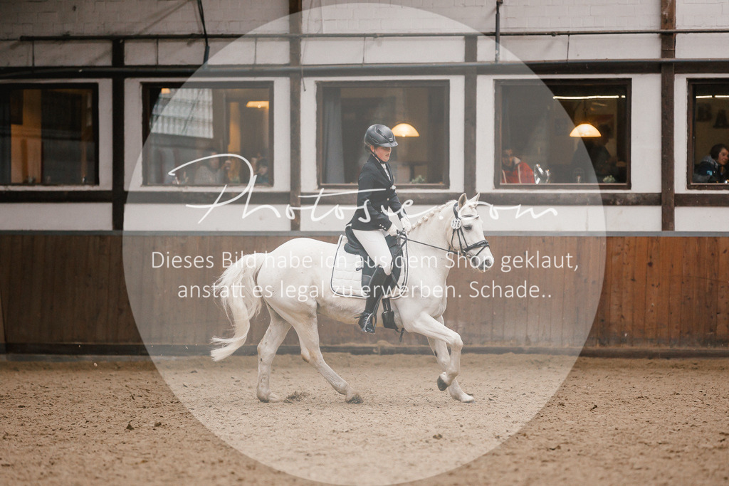 3I6A7886 | Stimmungsvolle Portraits und Reitsportfotografie im Ruhrgebiet und im Münsterland.

Pferdefotografie, Hundefotografie, Tierfotografie, Reportagen, Portraits von Tier und Mensch, Turnierfotografie in Bochum, Recklinghausen, Marl, Haltern am See, Dülmen.. - Realisiert mit Pictrs.com