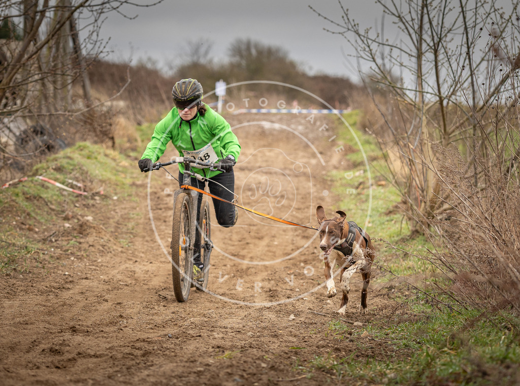 DV3A1489 | Hundefotografie, Tierfotograf, Pfotenfotografie, Fotoshooting Hund, Hunde Portrait, Hundesport, Hundeportraits, Heideshooting, Hunde, Sportfotograf, Hundefotograf, Turnierhundsport, THS,  - Realisiert mit Pictrs.com