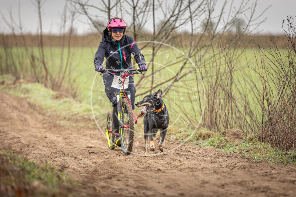 DV3A9325 | Hundefotografie, Tierfotograf, Pfotenfotografie, Fotoshooting Hund, Hunde Portrait, Hundesport, Hundeportraits, Heideshooting, Hunde, Sportfotograf, Hundefotograf, Turnierhundsport, THS,  - Realisiert mit Pictrs.com