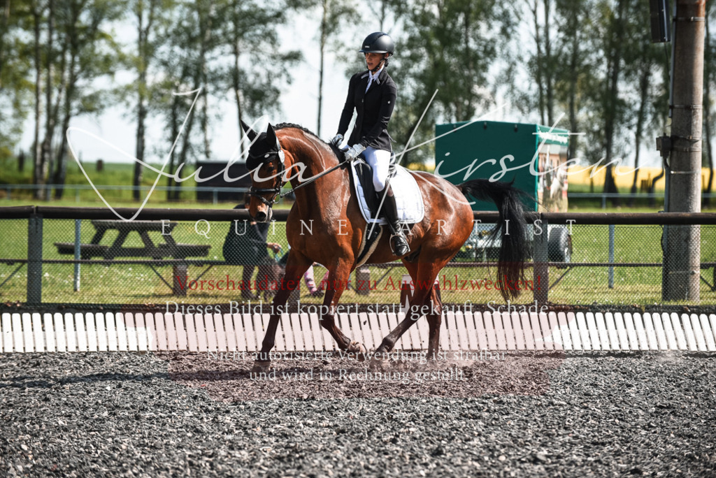 DSC_8919 | Pferde- und Turnierfotografie in Westsachsen. Pferdeportraits, Auftragszeichnungen und intuitive Kunst.