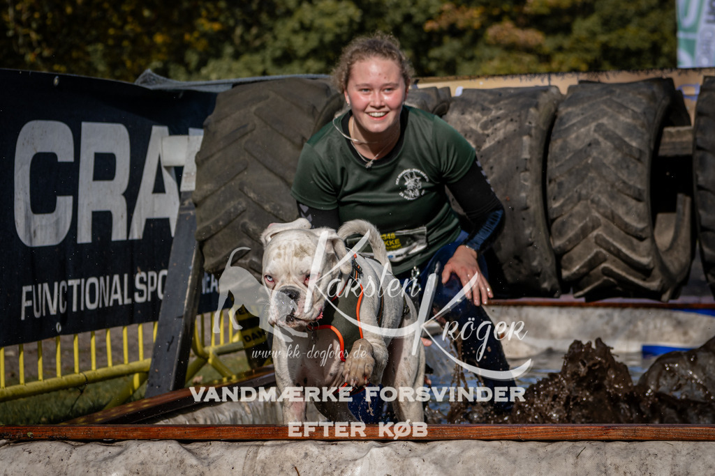 1317_ZZ92294 | kk-dogfotos