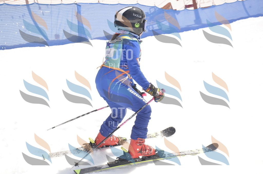 _ELE8544 | holidayphoto