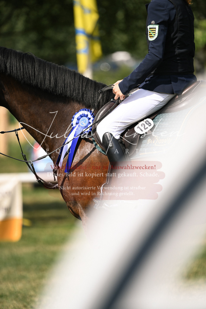 DSC_0700 | Pferde- und Turnierfotografie in Westsachsen. Pferdeportraits, Auftragszeichnungen und intuitive Kunst.