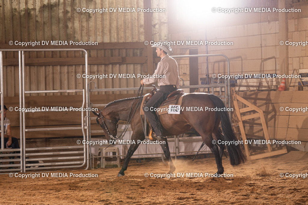 NID00231 | dv-media-shop - Realisiert mit Pictrs.com