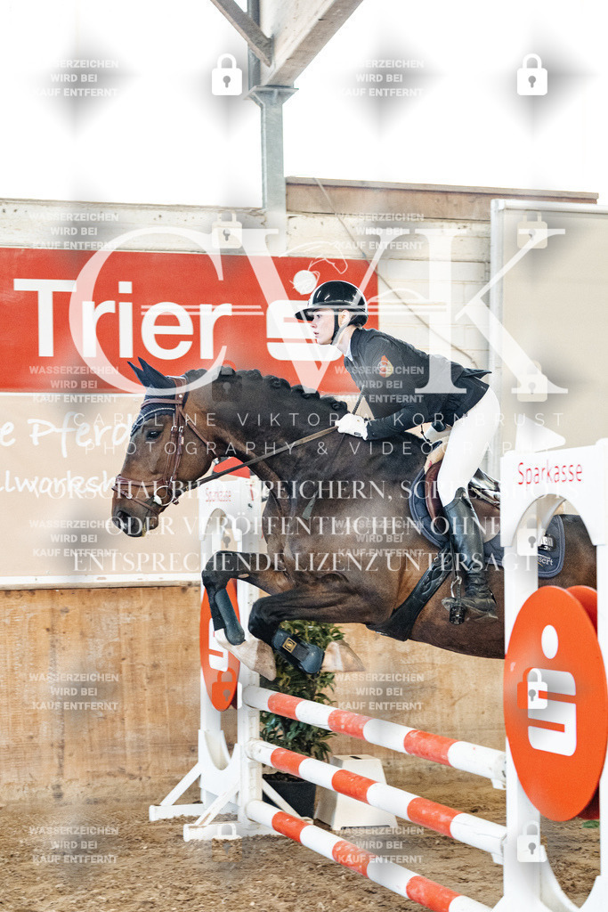 CK904553 | Turnierfotografie Pferdefotografie Trier Rheinland-Pfalz Pferdesport Reitsport Tierfotografie Sportfotografie Pferdevideo Pferdevideografie Equestrianvideography equestrianphotography  - Realisiert mit Pictrs.com