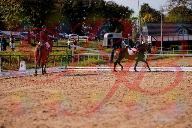 2026_10_03_Siefer-Hof_130804_Z81_59568097 | Professionelle Reitsport-, Turnier- und Eventfotografie von Robert Broda. Galerien mit ausgewählten und bearbeiteten Bildern direkt online ansehen und bestellen.