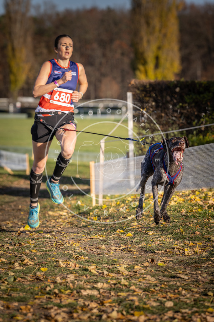 CaniXpix_DV3A1082 | Hundefotografie, Tierfotograf, Pfotenfotografie, Fotoshooting Hund, Hunde Portrait, Hundesport, Hundeportraits, Heideshooting, Hunde, Sportfotograf, Hundefotograf, Turnierhundsport, THS,  - Realisiert mit Pictrs.com