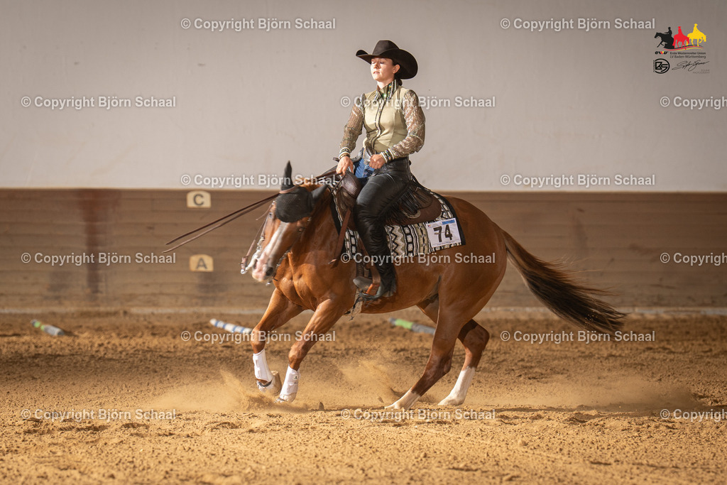 LMS06569 | BS-foto