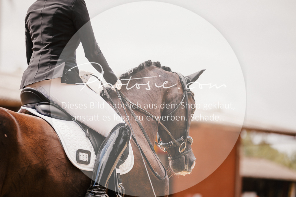 3I6A6298 | Stimmungsvolle Portraits und Reitsportfotografie im Ruhrgebiet und im Münsterland.

Pferdefotografie, Hundefotografie, Tierfotografie, Reportagen, Portraits von Tier und Mensch, Turnierfotografie in Bochum, Recklinghausen, Marl, Haltern am See, Dülmen.. - Realisiert mit Pictrs.com