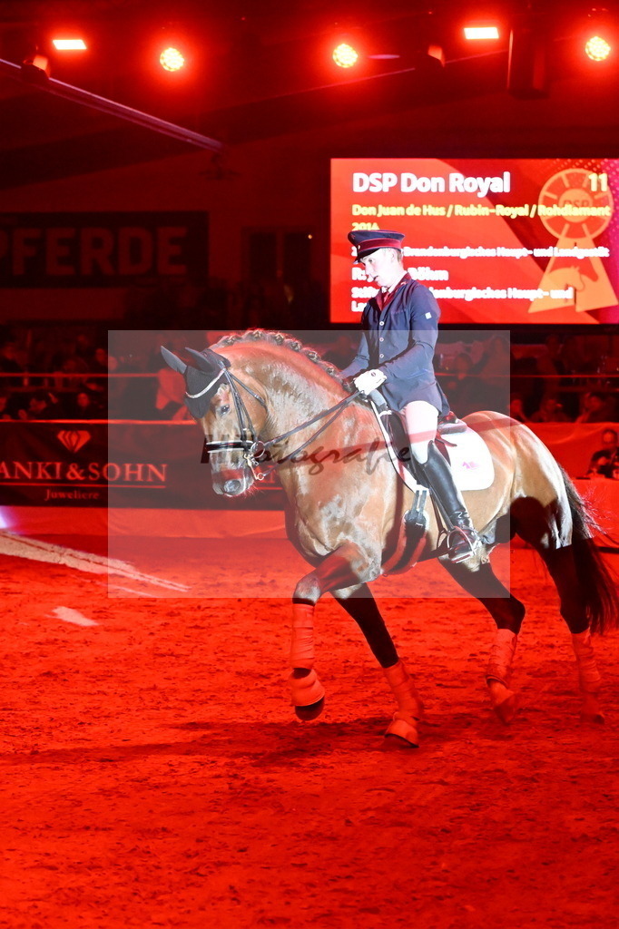 Don Royal_2241784 | hf-fotografie - Realisiert mit Pictrs.com