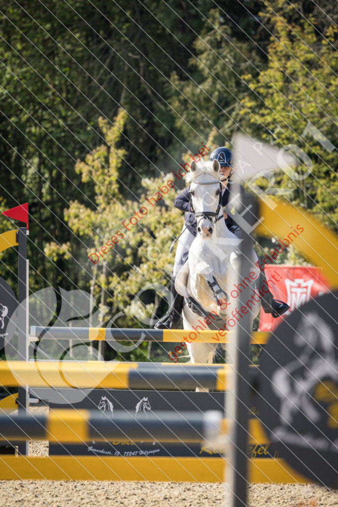 CON_0284 | Sport-, Event- und Tierfotos in Profiqualität. Einfach auswählen, bestellen und herunterladen. Dein Moment – perfekt festgehalten.