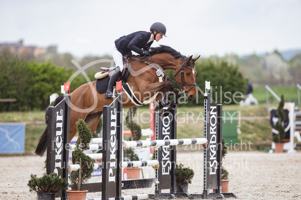 250417_Springpferde-A1-109 | Deine schönsten Turniermomente als professionelle Fotos! Entdecke hochwertige Pferdesport-Fotografie im Online-Shop. Jetzt Fotos finden & bestellen!