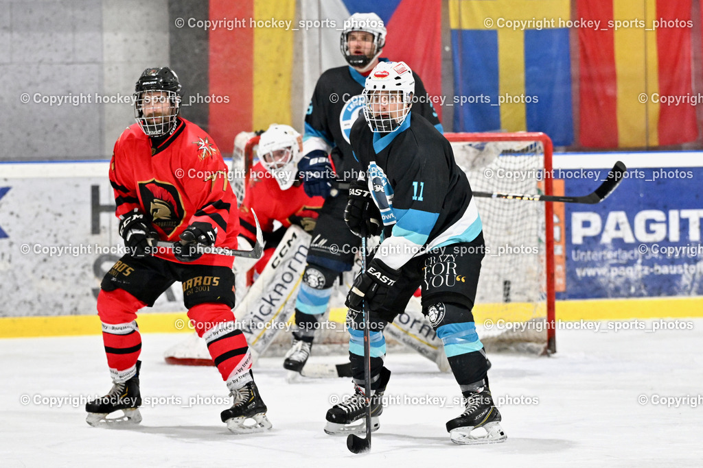 Lendhafen Seelöwen vs. Spartans Althofen | #11 Göhringer Marius Lendhafen Seelöwen, #77 Schumnig Stefan Spartans Althofen, Lendhafen Seelöwen vs. Spartans Althofen, Lendhafen Seelöwen vs. Spartans Althofen am 14.02.2025 in Ferlach (HTC Eishalle Ferlach), Austria, (Photo by Bernd Stefan)