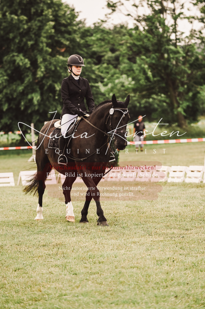 DSC_5065 | Pferde- und Turnierfotografie in Westsachsen. Pferdeportraits, Auftragszeichnungen und intuitive Kunst.