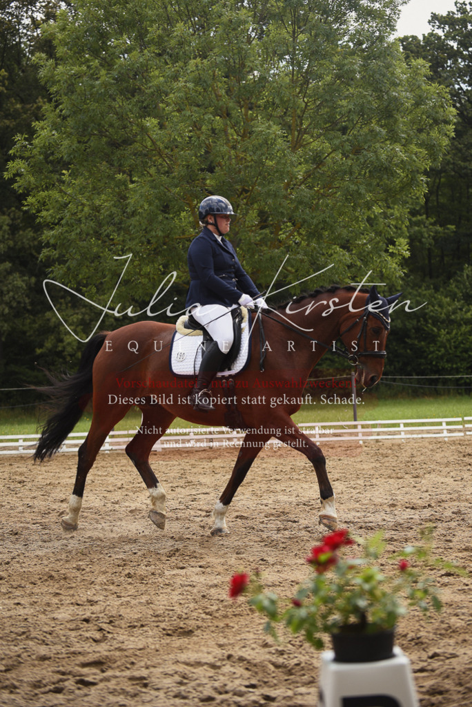 DSC_0818 | Pferde- und Turnierfotografie in Westsachsen. Pferdeportraits, Auftragszeichnungen und intuitive Kunst.