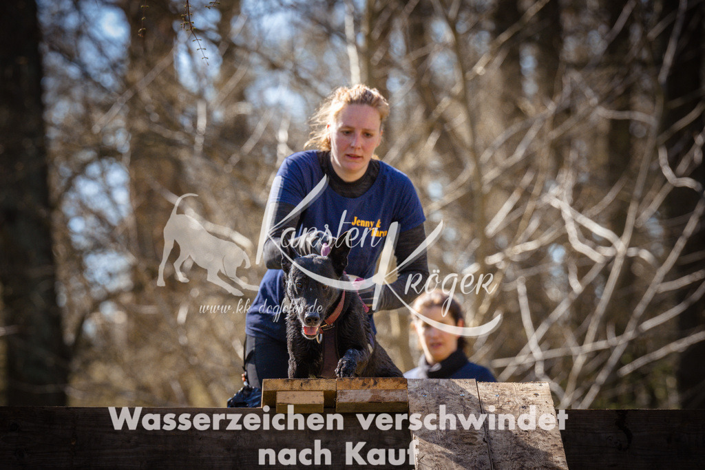 0921_ZZ95029 | kk-dogfotos