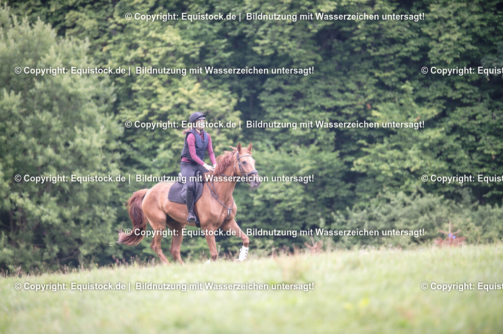 20250726_Vielseitigkeitslehrgang-Marbach_0293 | Foto: Thomas Hartig